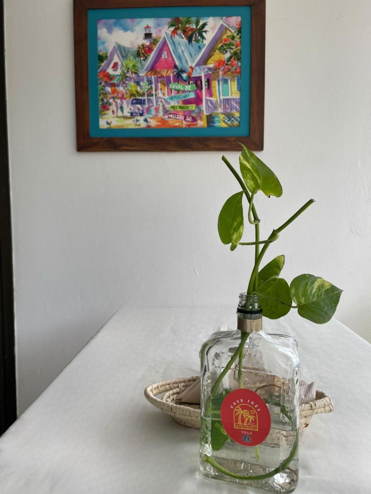 Casa Ines Tolu Otel Dış mekan fotoğraf
